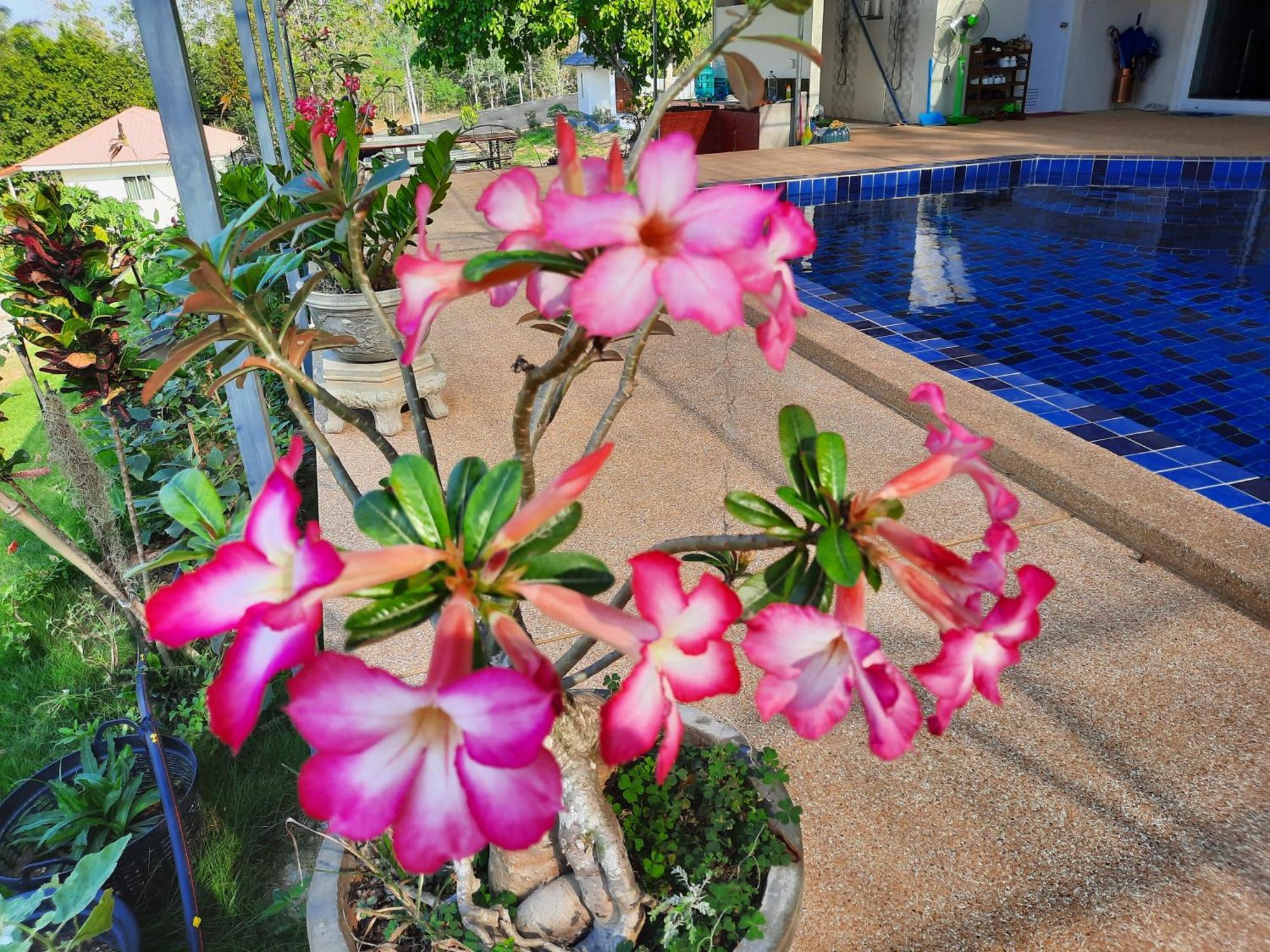 Lemax Homestay And Thailand Tours Phetchaburi Dış mekan fotoğraf